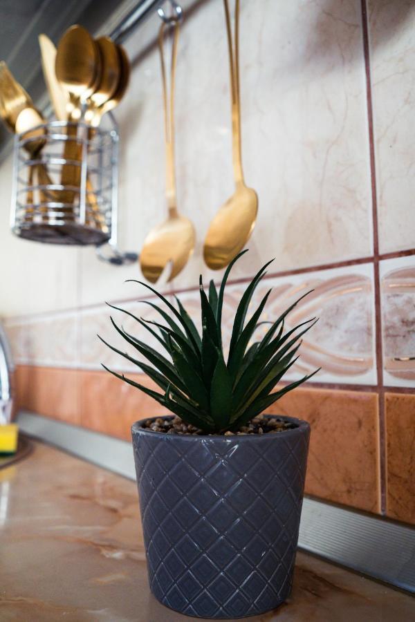 Apartament Milcov Gura Humorului Ngoại thất bức ảnh